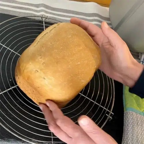 Bauernbrot Brotbackautomat zwei Hände, die das Brot halten.