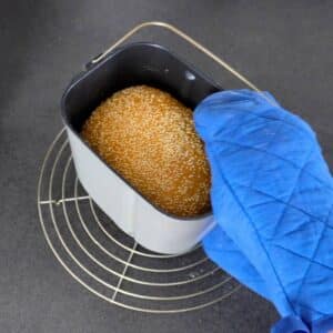 Sesambrot aus dem Brotbackautomaten 11 sesambrot aus dem brotbackautomaten in Backform af einem Kuchengitter und ein blauer Handschuh der die Form hält